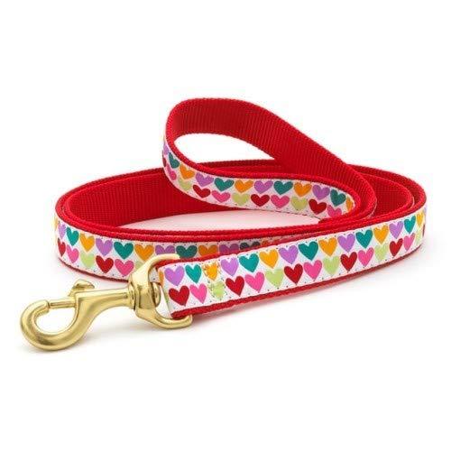 [Australia] - Up Country Pop Hearts Leash 1 inch x 4 foot Multicoloured 