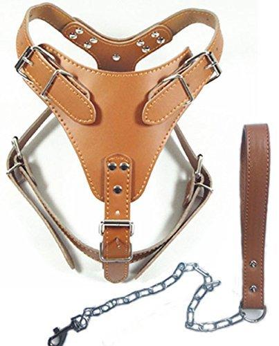 [Australia] - Dogs Kingdom 24"-32" Soft Leather Dog Harness&Leash Set Large for Pit Bull, Boxer, Bull Terrier One Size Brown 