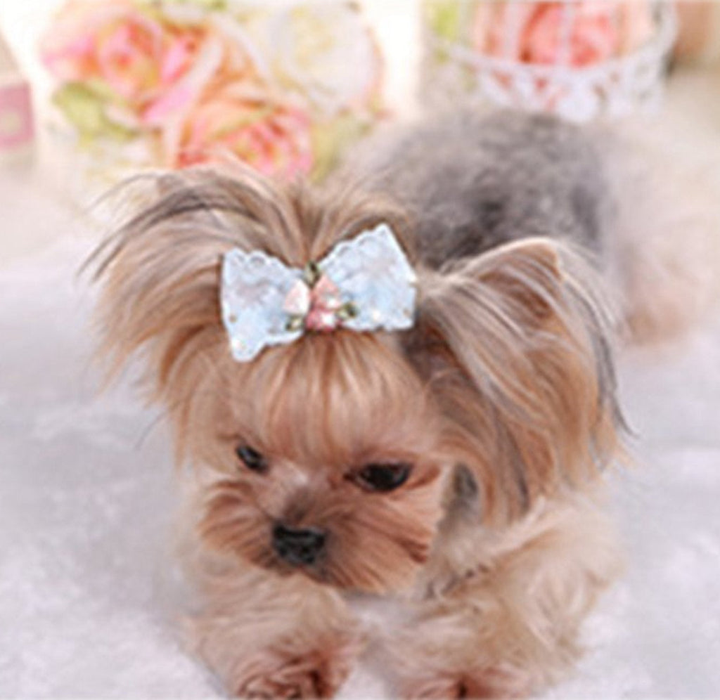 Bling Rhinestone Luxury Pet Puppy Dog cat Hairpin Hair Bows tie Dog lace Hair Clips Pet Dog Grooming Pet Hair Accessories Pack of 2 Blue - PawsPlanet Australia