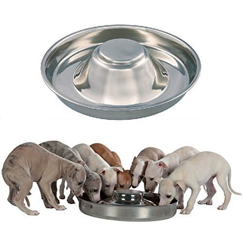 [Australia] - King International Stainless Steel Dog Bowl 1 Puppy Litter Food Feeding Weaning Silver Stainless Dog Bowl Dish Large Dogs, Pets Feeder Bowl and Water Bowl Perfect Choice 