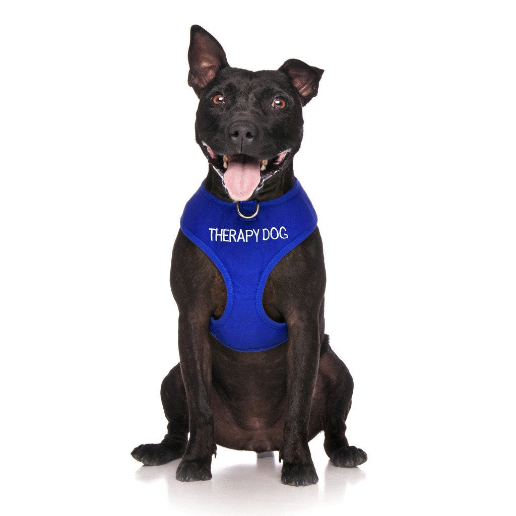 [Australia] - Dexil Limited Therapy Dog Blue Color Coded Non-Pull Front and Back D Ring Padded and Waterproof Vest Dog Harness Prevents Accidents by Warning Others of Your Dog in Advance Large Harness 22-32inch Chest 