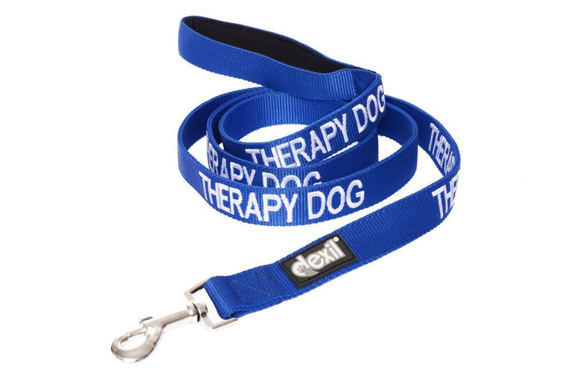 [Australia] - Dexil Limited Therapy Dog Blue Color Coded 2 4 6 Foot Padded Dog Leash Prevents Accidents by Warning Others of Your Dog in Advance 6ft/72inch 