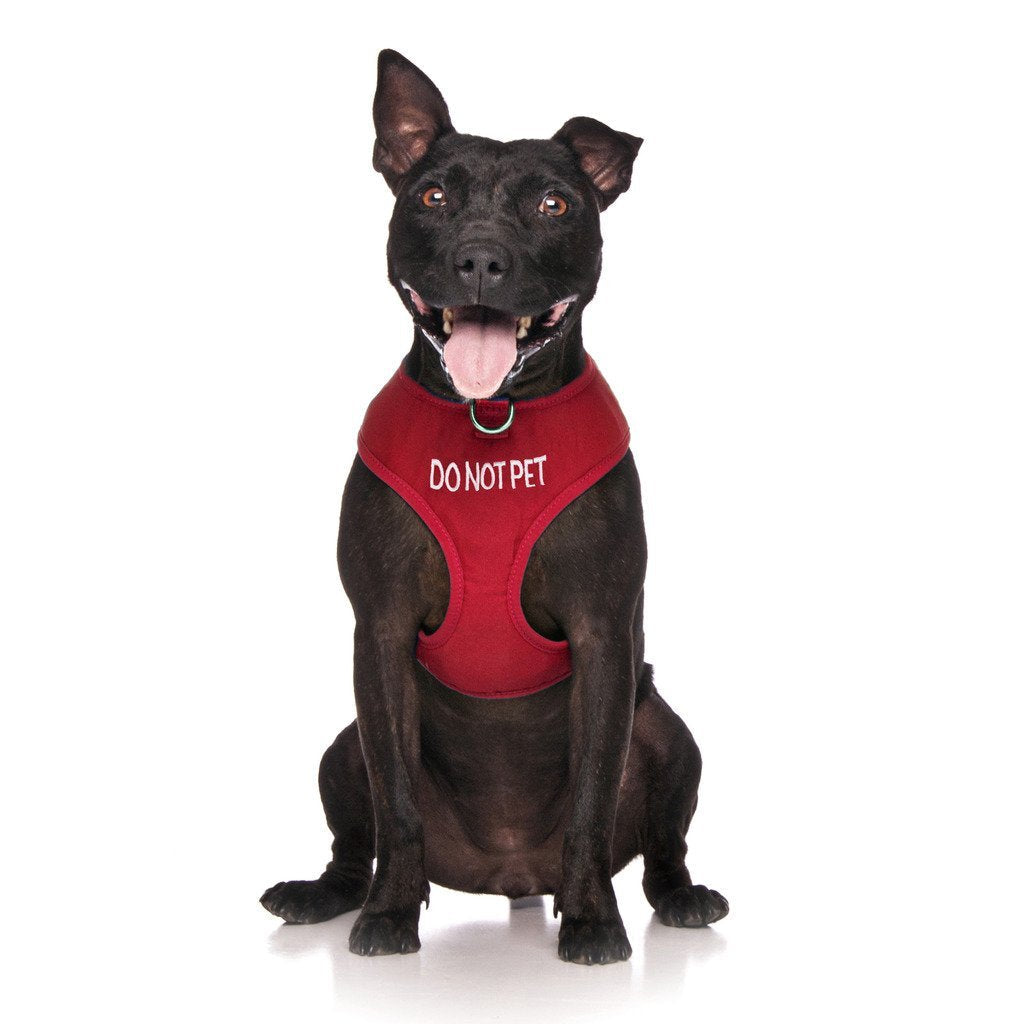 [Australia] - Dexil Limited DO NOT PET Red Color Coded Non-Pull Front and Back D Ring Padded and Waterproof Vest Dog Harness Prevents Accidents by Warning Others of Your Dog in Advance Medium Harness 19-28inch Chest 