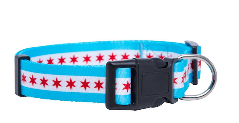 [Australia] - Native Pup Chicago Flag Dog Collar Medium Small Stars 