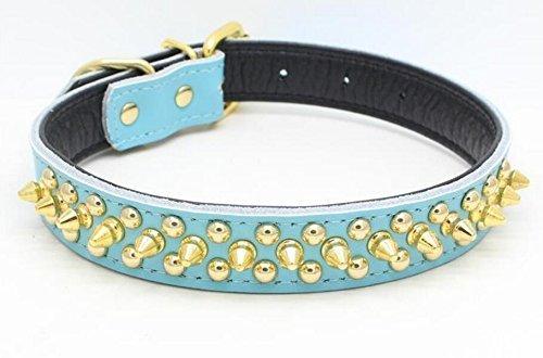 Benala Soft Genium Leather Gold Spiked Studded Pet Puppy Dog Collar for Small Medium Dogs Size S M L 5 Colors - PawsPlanet Australia