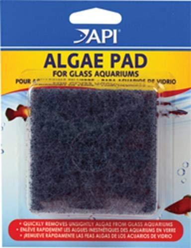 [Australia] - (3 Pack) API Hand Held Algae Pad - Glass 