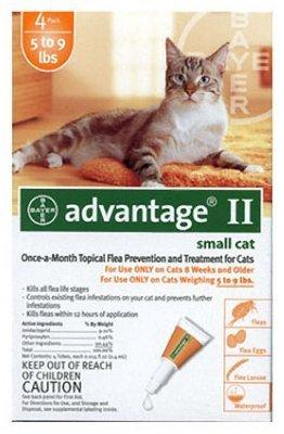Bayer, Advantage 2 Cat Orange, Small, 4 Pack - PawsPlanet Australia