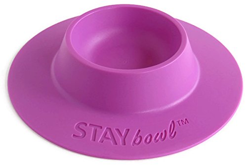 STAYbowl Tip-Proof Ergonomic Pet Bowl for Guinea Pig and Other Small Pets, 1/4-Cup Small Size, Lilac (Purple) - PawsPlanet Australia