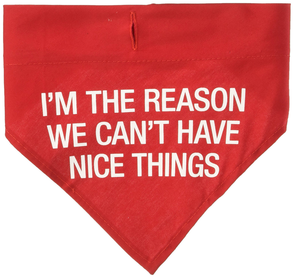 [Australia] - About Face Designs Can't Have Nice Things Large Pet Bandana, Red 