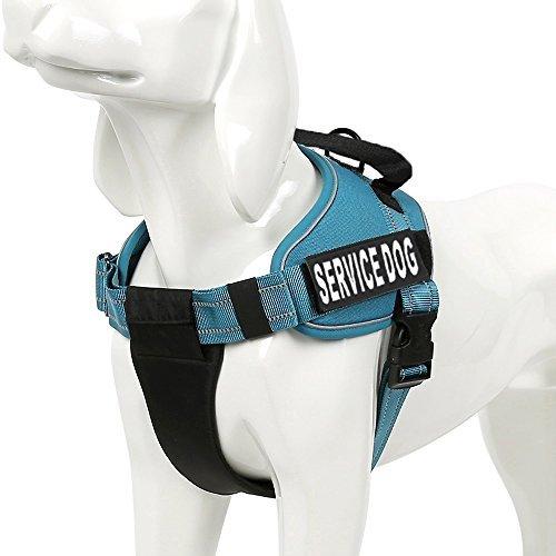 [Australia] - Chai's Choice Service Dog Vest Harness Best 2 Reflective Service Dog Patches and Sturdy Handle. Small to Large Breed. 8 Colors and Matching Padded Leash Available. Sizing Chart at Left X-Large Blue 