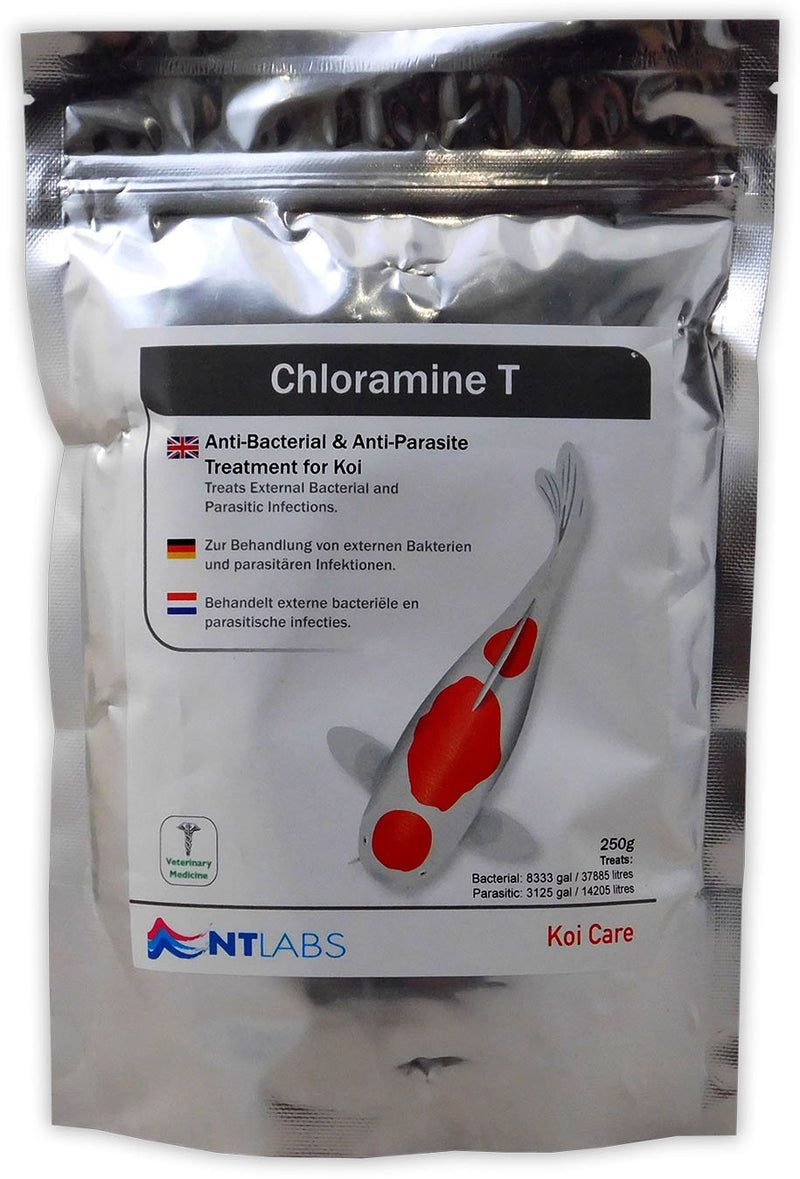 NT Labs Chloramine T 250g - PawsPlanet Australia