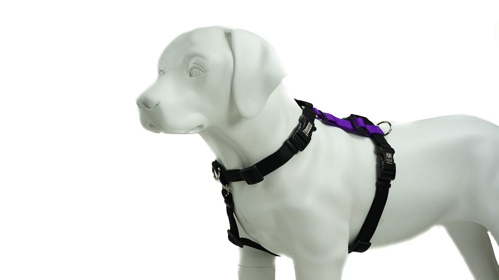 [Australia] - Blue-9 Pet Products Balance Harness Buckle Neck (Medium, Purple) 