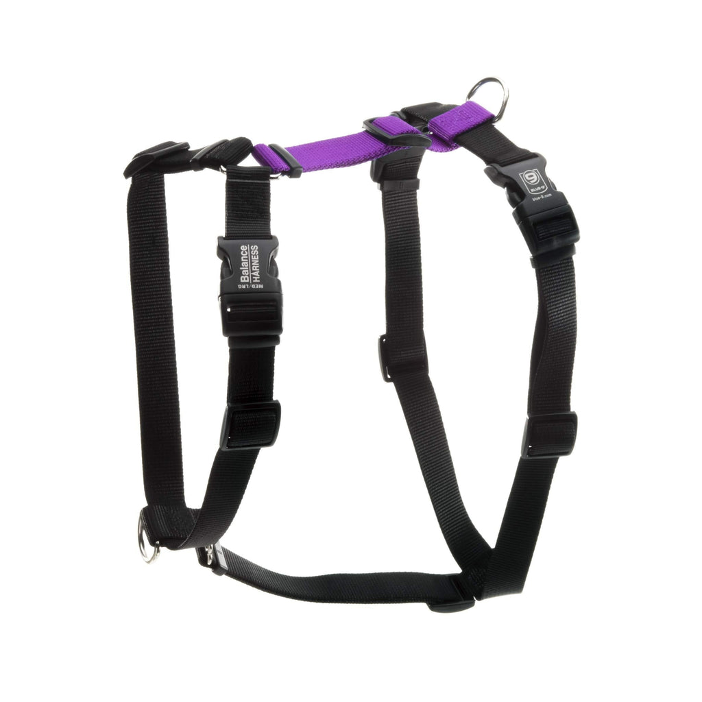 [Australia] - Blue-9 Pet Products Buckle-Neck Balance Harness, 6-Point Adjustable No-Pull Harness, Ideal for Dog Training, Made in The USA Medium/Large Purple 
