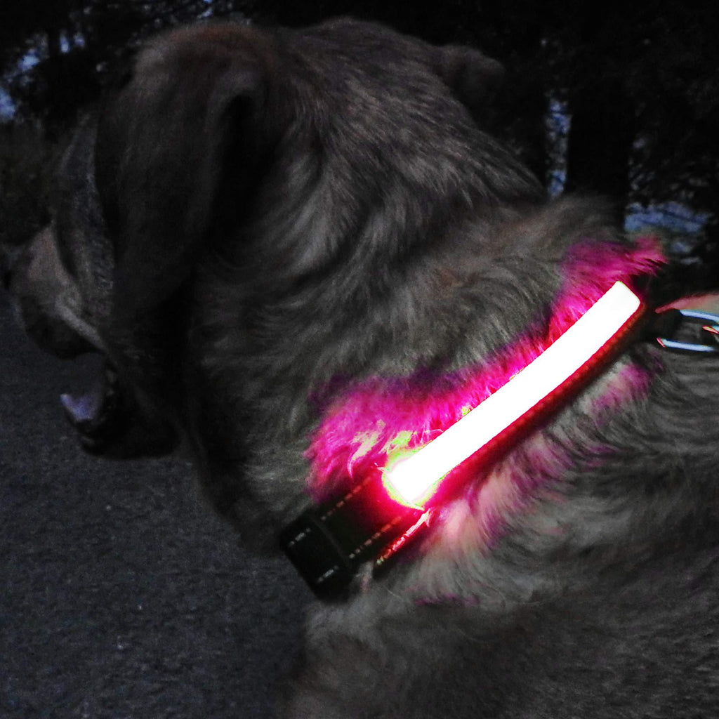 [Australia] - GlowHERO LED Light Up Dog Collar - The Original Glow Collar - High Visibility Durable and Reflective LED Dog Collar w/3 LED Modes Medium (16" - 18.75") Neon Pink 