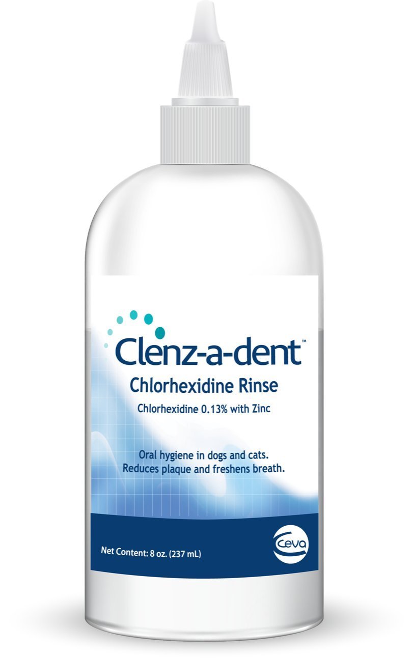 Clenz-a-dent Chlorhexidine Rinse, 8 oz - PawsPlanet Australia