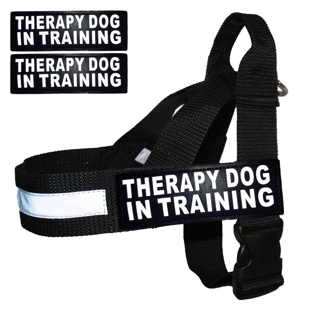 [Australia] - Therapy Dog in Training Nylon Harness No Pull Guide Assistance Comes with 2 Reflective Therapy Dog in Training Removable Reflective Patches. Please Measure Your Dog Before Ordering. Fits Girth 29-39" 