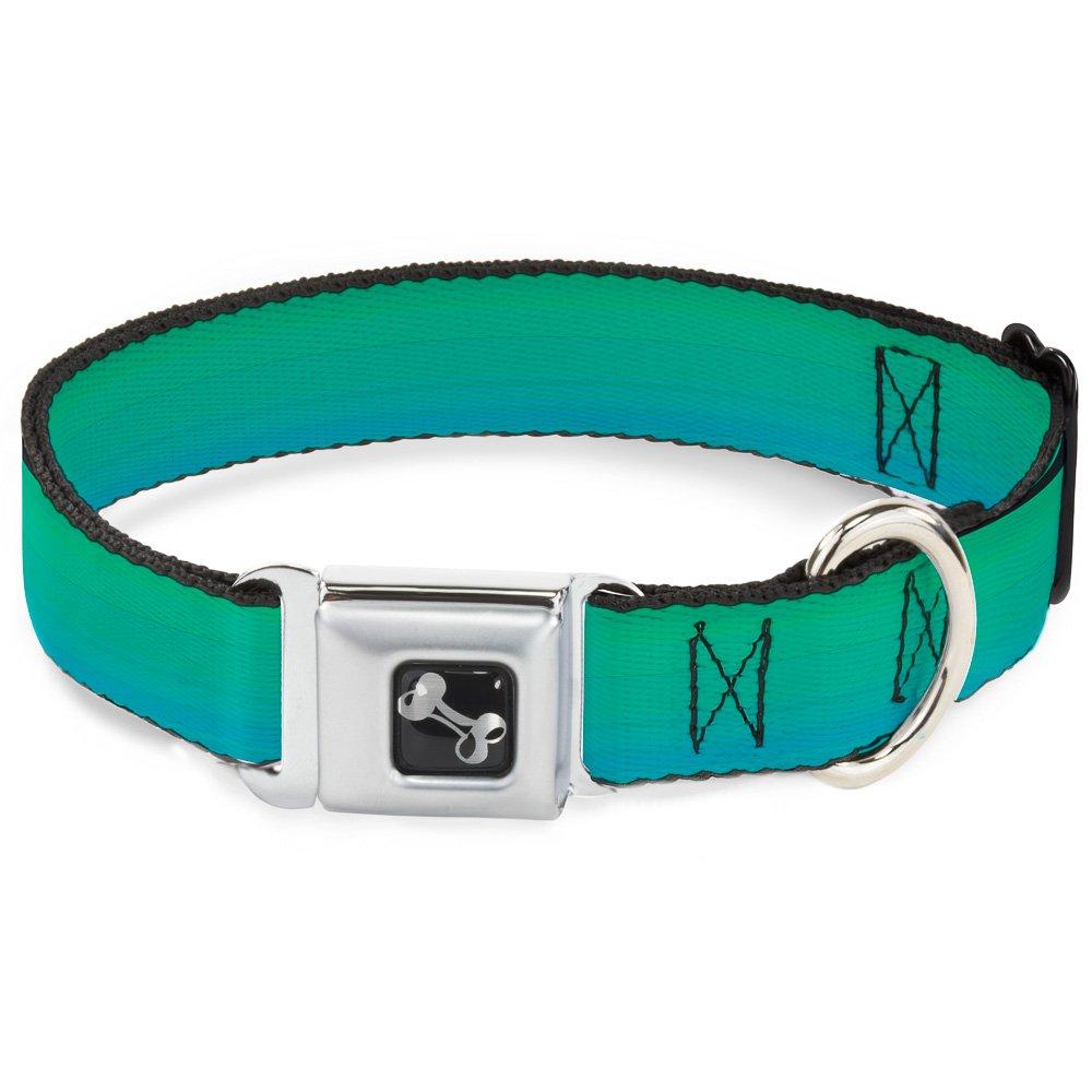 [Australia] - Buckle-Down Seatbelt Buckle Dog Collar - Teal Ombre 1" Wide - Fits 11-17" Neck - Medium 