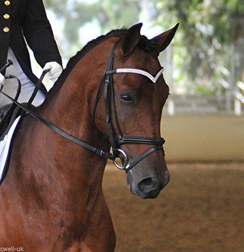 CWELL EQUINE V Shaped 4 Rows Silver Crystal Browband Choice of Sizes (BLACK) COB 15" - PawsPlanet Australia