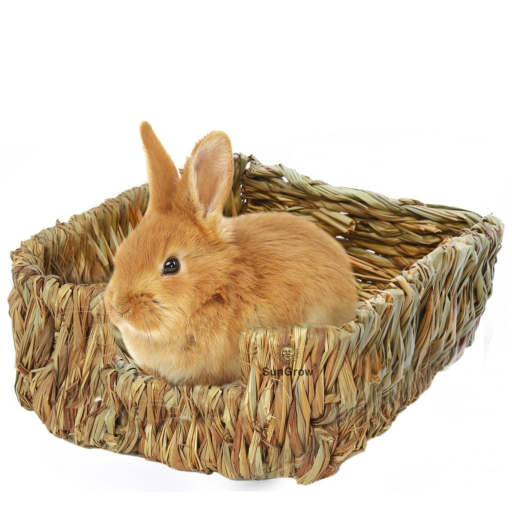 [Australia] - SunGrow Portable Grass Bed - Hand-Made with Natural Grass: Provides Paws Protection & Relaxation : Lightweight, Durable, Safe & Comfortable for Rabbits, Chinchillas, Guinea Pigs & Other Small Animals 