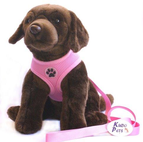 [Australia] - KUDO PETS Soft Mesh Dog Harness with Leash - Multiple Sizes & Colors M Pink 