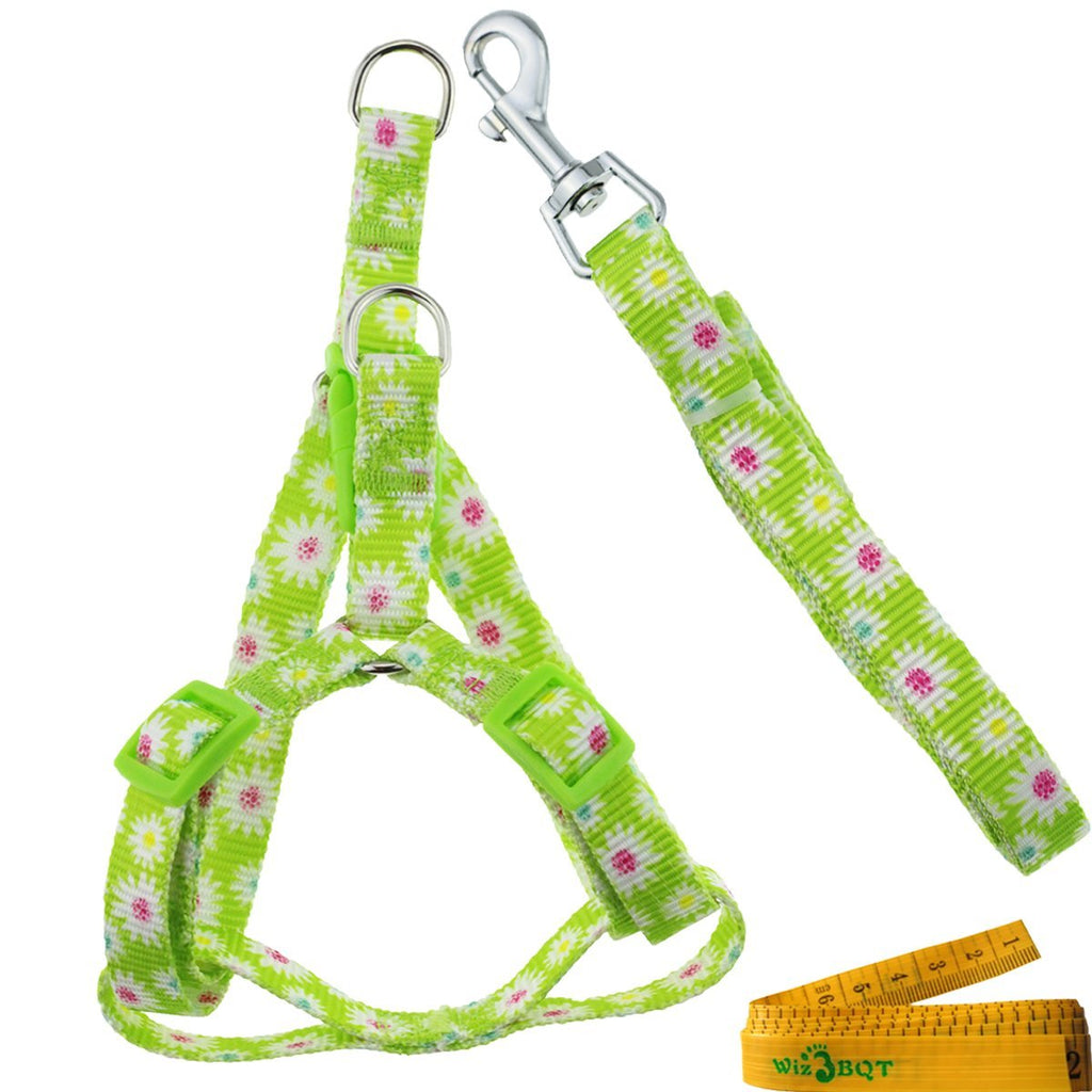 Wiz BBQT Adjustable Breakaway Flower Printed Dog Cat Pet Harness and Leash Set for Dogs Cats Pets Small Green - PawsPlanet Australia