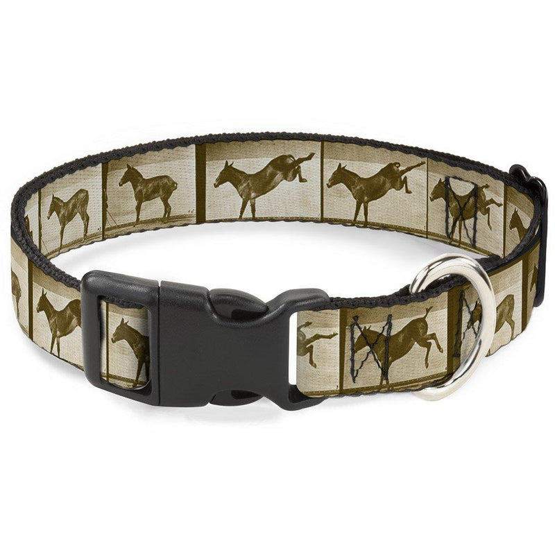 [Australia] - Buckle-Down Plastic Clip Collar - Bucking Donkey Vintage Film Strip - 1/2" Wide - Fits 6-9" Neck - Small 1.5" Wide - Fits 18-32" Neck - Large 