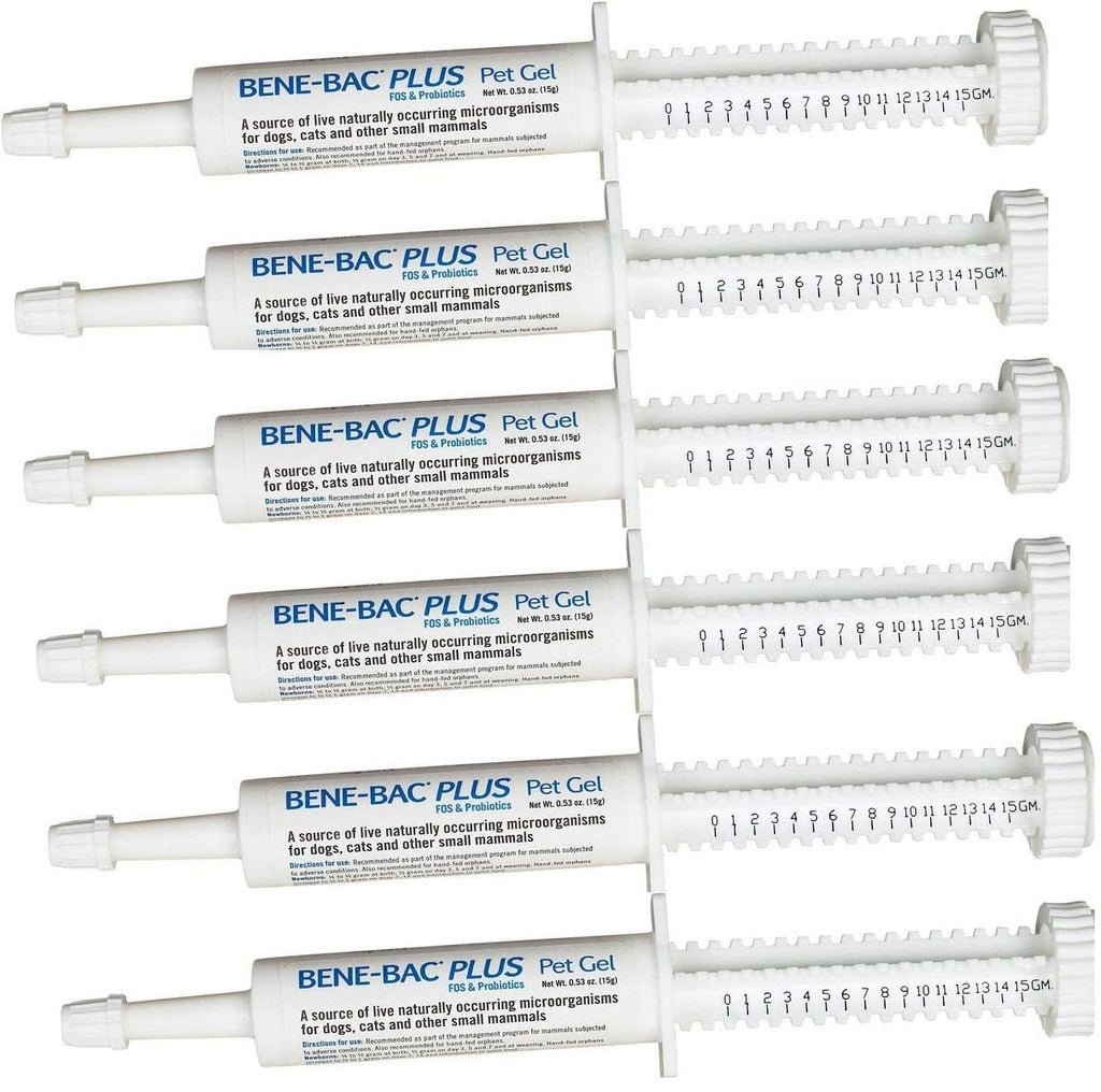 6 Pack Bene-Bac Plus Gel, 15g Syringe 6 -Pack - PawsPlanet Australia
