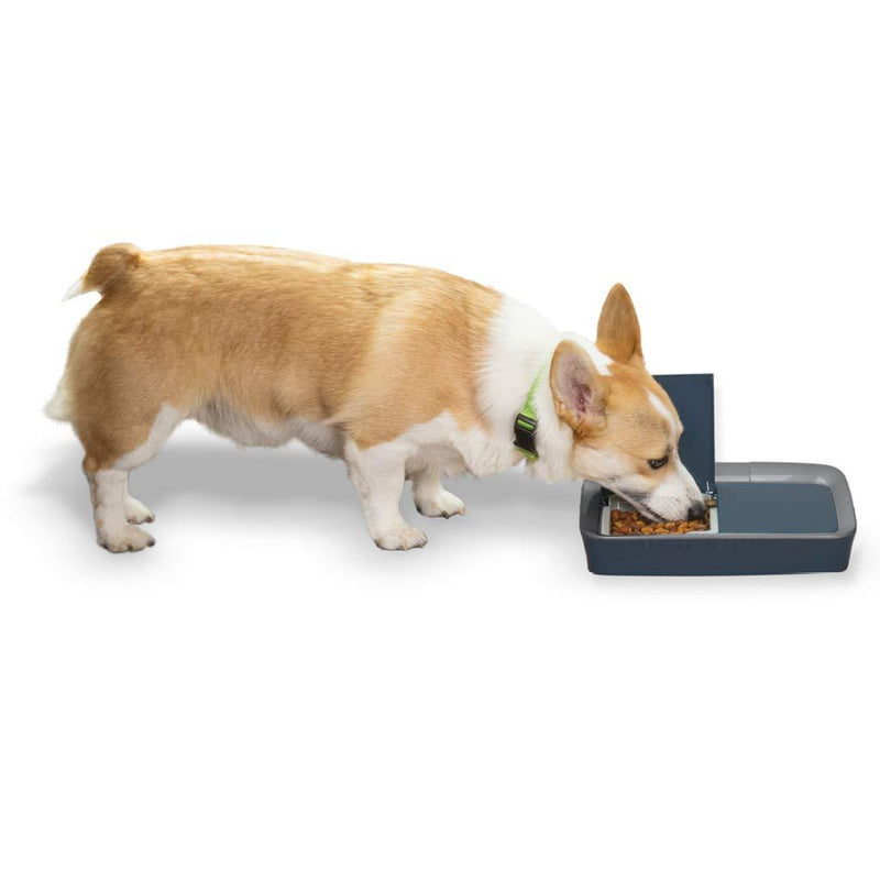 [Australia] - PetSafe Digital Two Meal Dog and Cat Feeder - Dispenses Dog Food or Cat Food - Programmable Pet Feeding - Portion Control - Digital Timer 