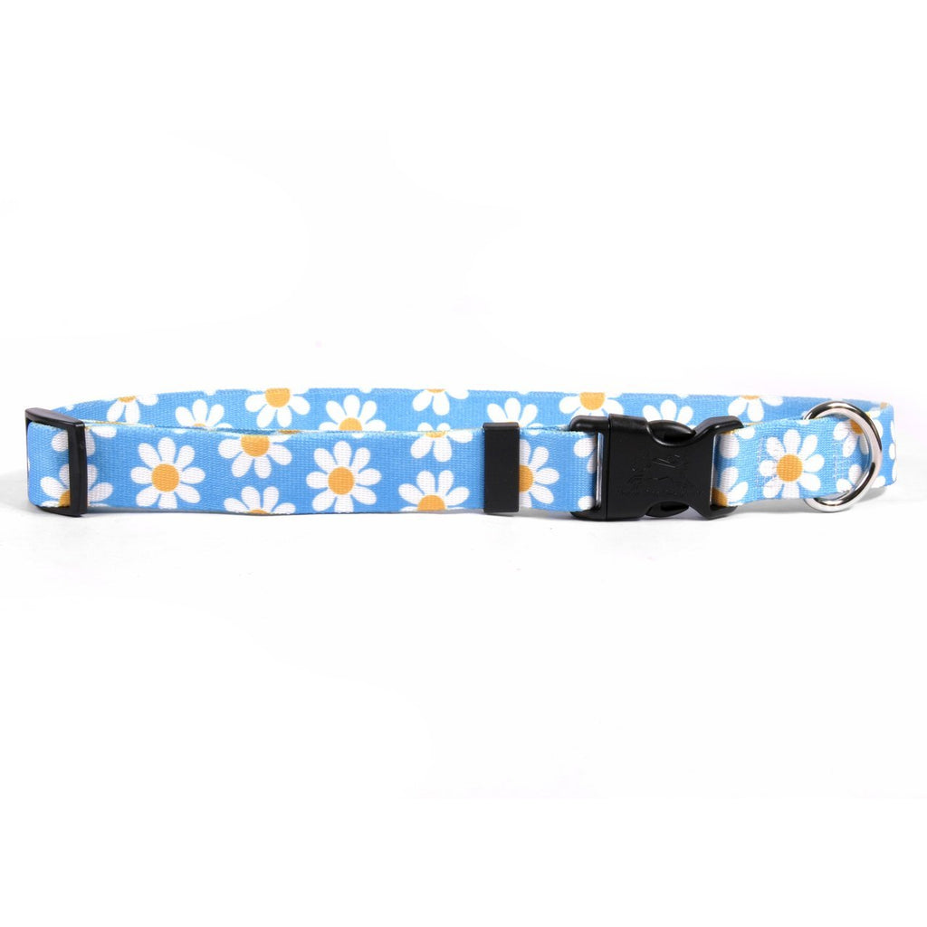 [Australia] - Yellow Dog Design Blue Daisy Dog Collar Small 10" - 14" 