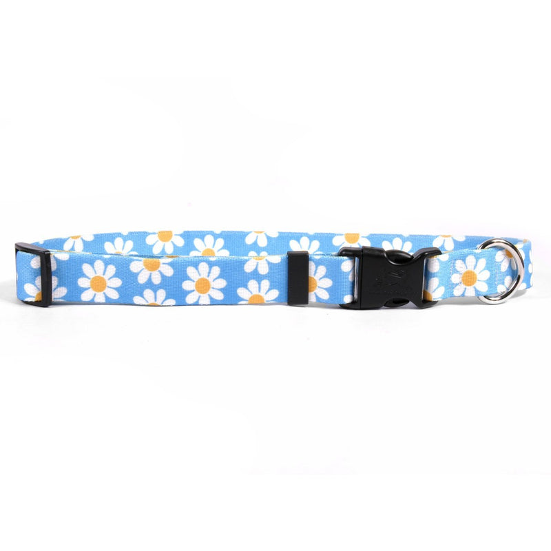 [Australia] - Yellow Dog Design Blue Daisy Dog Collar Small 10" - 14" 