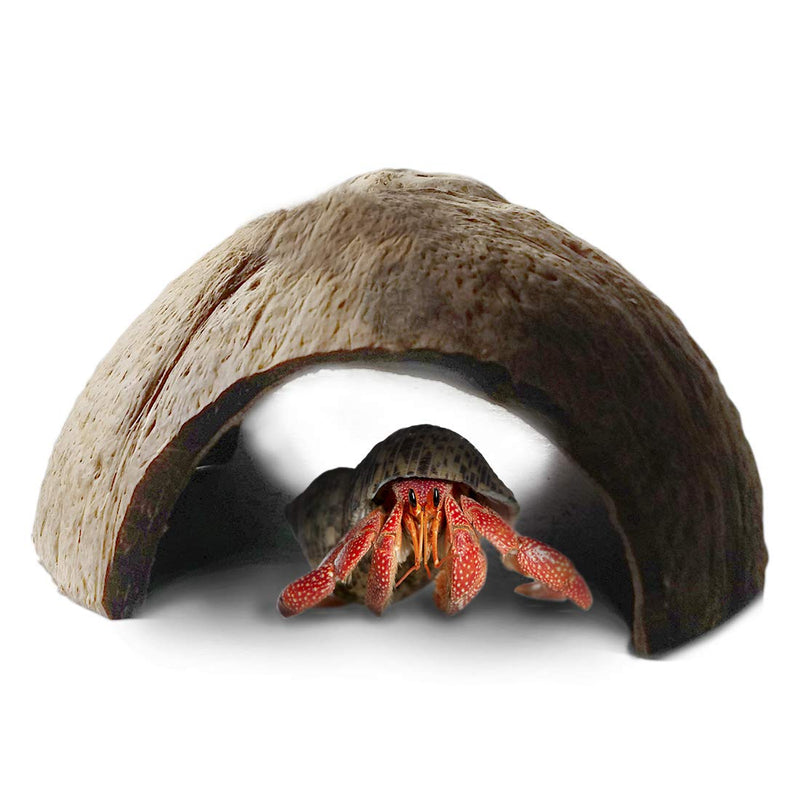 SunGrow Hermit Crab Huts, 5x3 Inches, Arthropod's Coconut Hide, Spacious Coco Tunnel, Use as Hermit Cave or Climber 1 Piece - PawsPlanet Australia