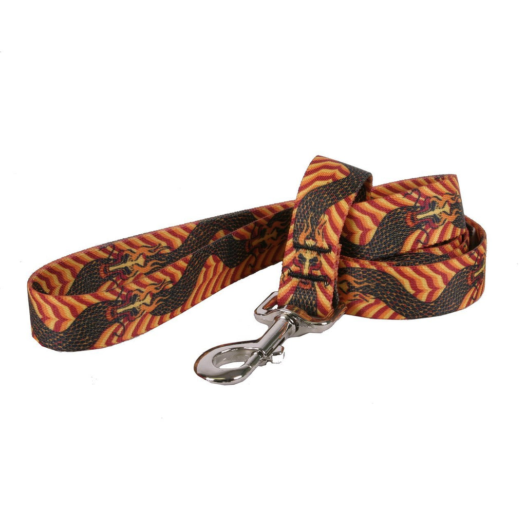 [Australia] - Yellow Dog Design Dragon Wave Orange Dog Leash 3/4" x 60" (5 feet) Long 