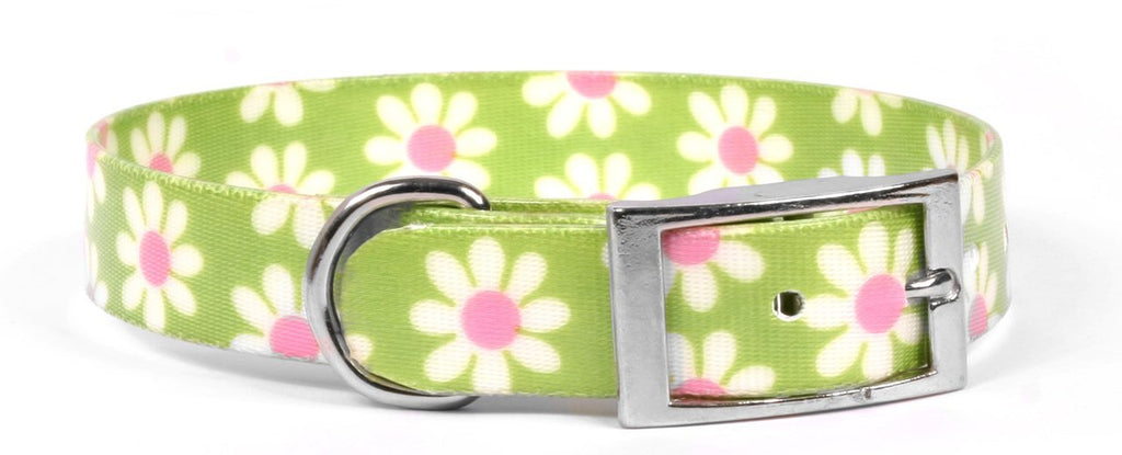 [Australia] - Yellow Dog Design Green Daisy Elements Dog Collar 3/4"W x 20"L 