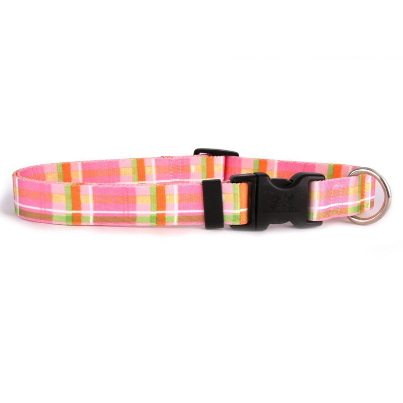 [Australia] - Yellow Dog Design Madras Pink Dog Collar Teacup 4" - 9" 