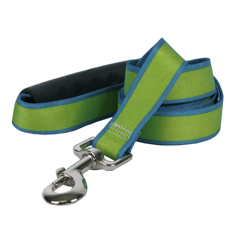 [Australia] - Yellow Dog Design Sterling Stripes Spring Green Teal Dog Leash with Comfort Grip Handle 1" x 60" (5 feet) Long 