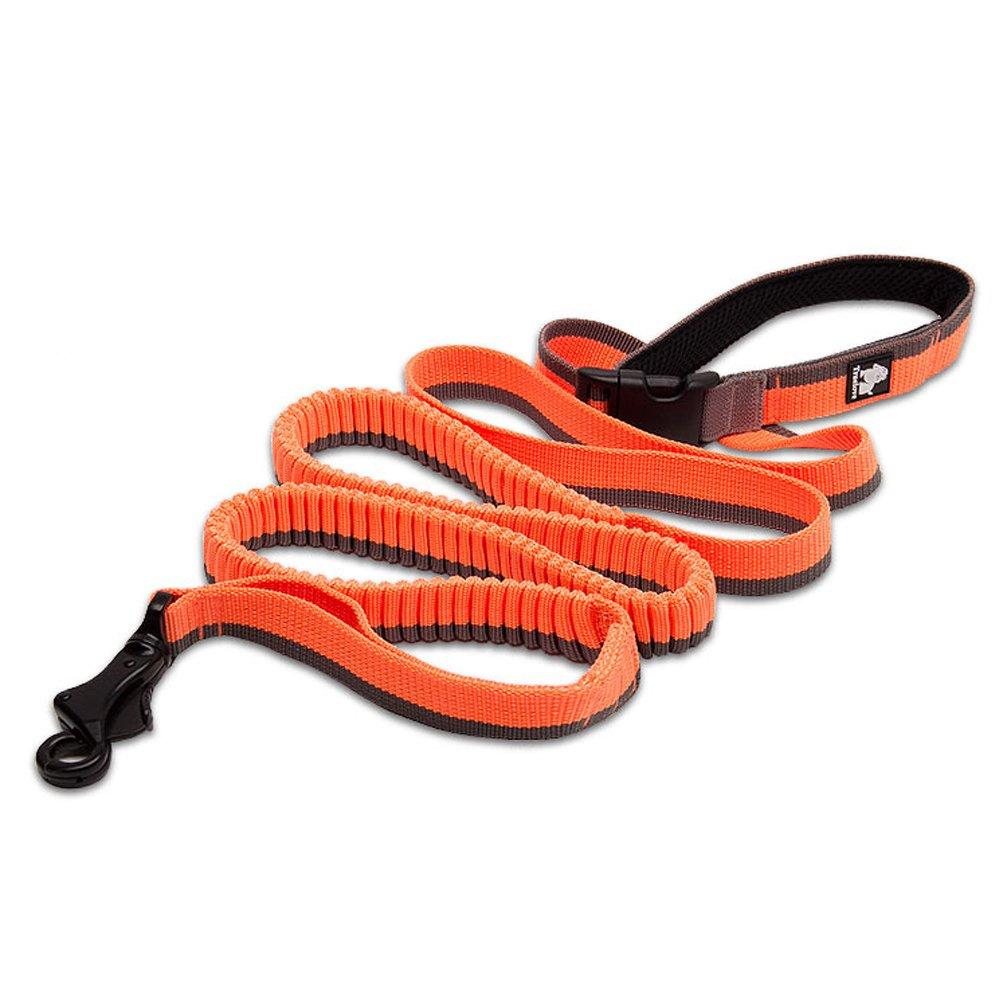 [Australia] - SGODA Dog Leash Hands Free Bungee Leash for Walking Running Training,Nylon Dog Lead with Soft Padded Waist Belt Large length 6.5-11Feet Orange 