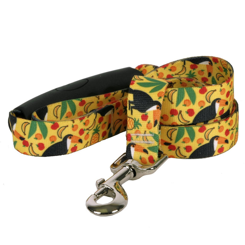 [Australia] - Yellow Dog Design Fruity Tucan Ez-Grip Dog Leash with Comfort Handle 1" x 60" (5 feet) Long 