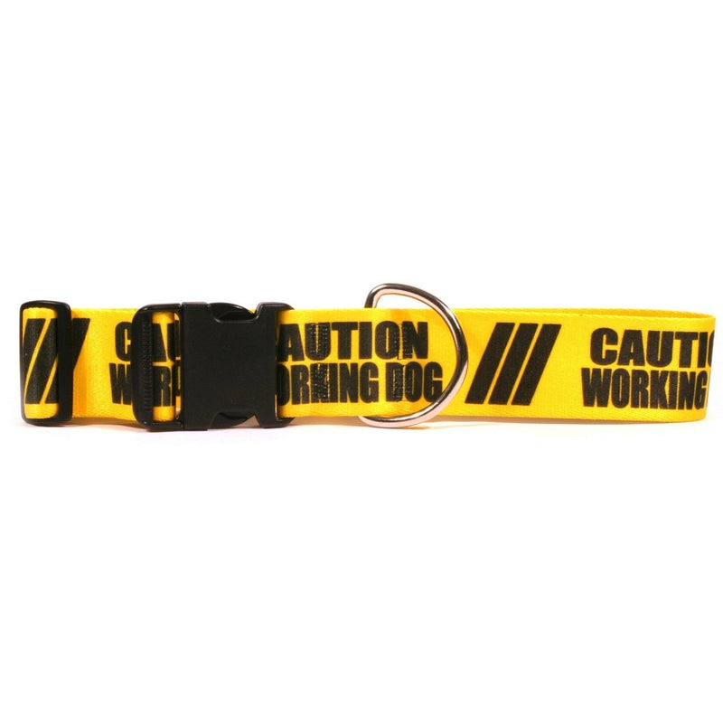 [Australia] - Yellow Dog Design 2" Caution Working Dog Collar 3/4" Wide and Small 10" - 14" 