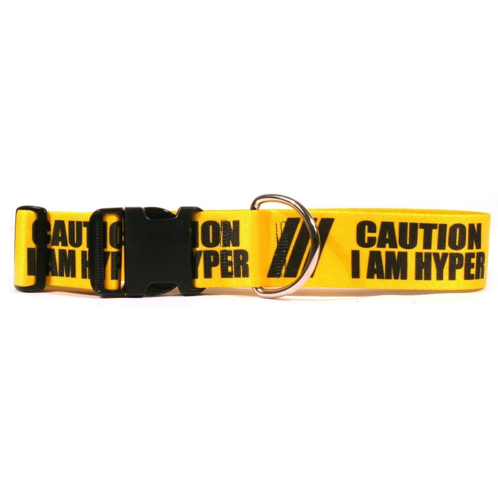 [Australia] - Yellow Dog Design 2" Caution I Am Hyper Dog Collar 3/4" Wide and Small 10" - 14" 
