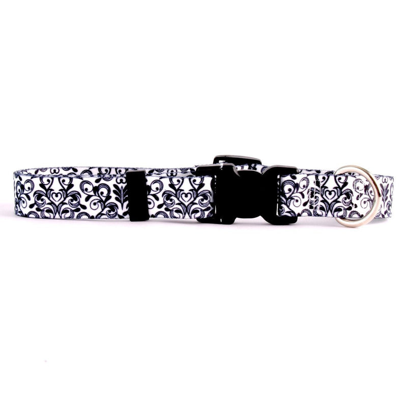 [Australia] - Yellow Dog Design Damask Dog Collar 3/8" Wide and Small 10" - 14" 