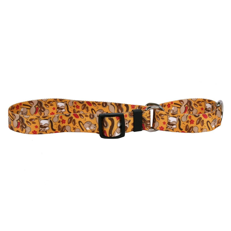 [Australia] - Yellow Dog Design Martingale Slip Collar, Animal Friends Collection Medium 20" Chipmunks 