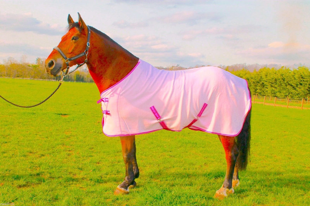 NEW HORSE COB PONY PINK SHOW TRAVEL FLEECE RUG stable cooler choice of Sizes 6'3" - PawsPlanet Australia
