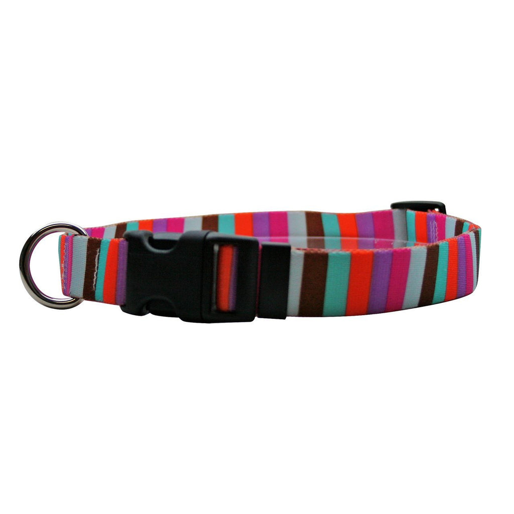 [Australia] - Yellow Dog Design Multi-Stripe Dog Collar Medium 14" - 20" x 1" Wide 