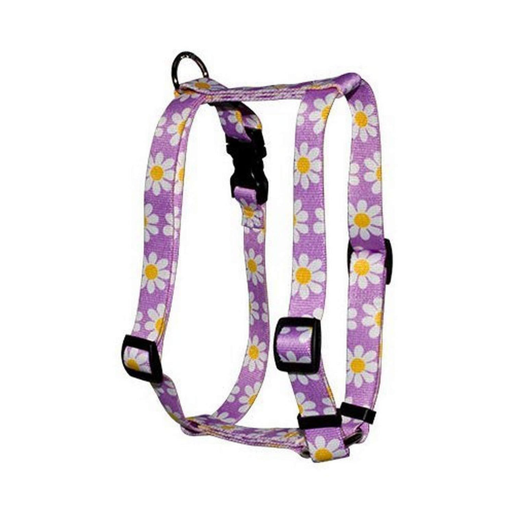 [Australia] - Yellow Dog Design Lavender Daisy Roman Style H Dog Harness Small/Medium 14" - 20" 