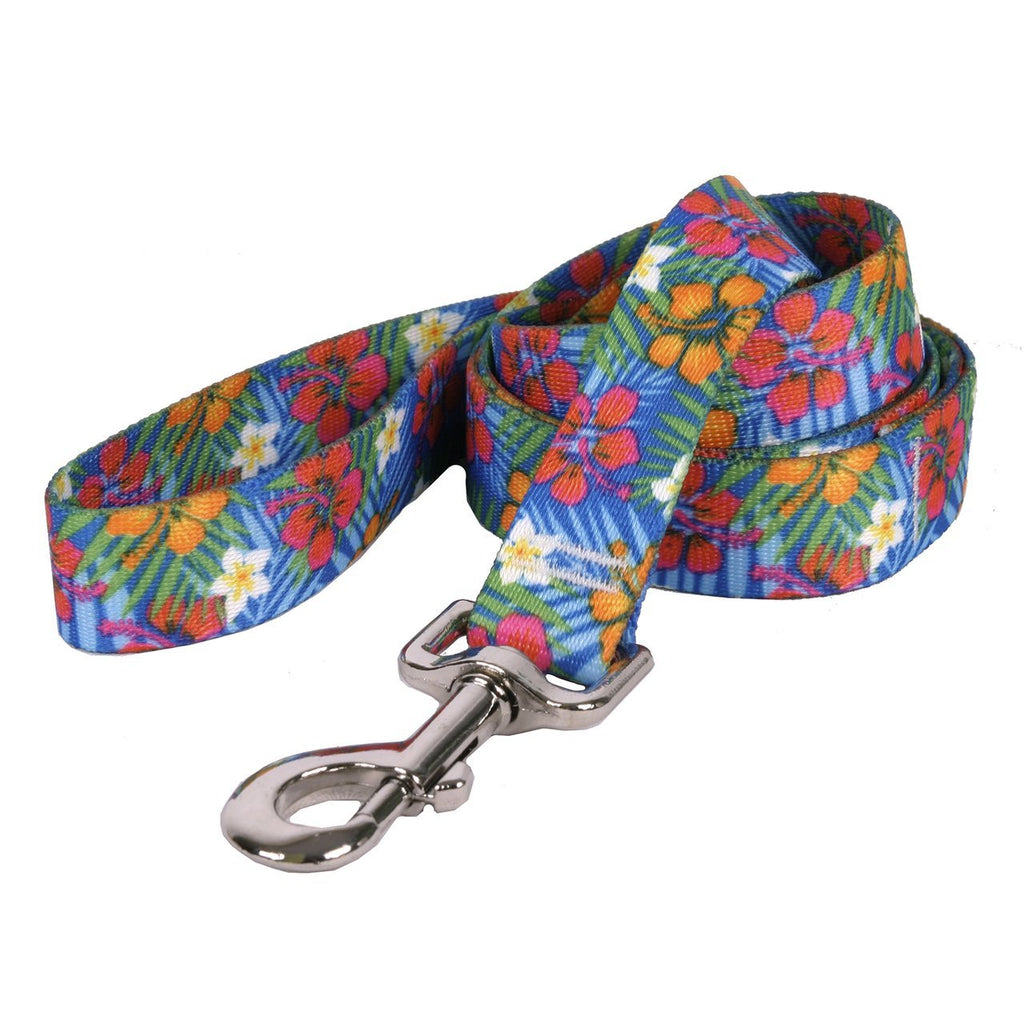 [Australia] - Yellow Dog Design Hibiscus Paradise Dog Leash 3/8" x 60" (5 feet) Long 