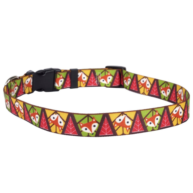 [Australia] - Yellow Dog Design Fall Fox Dog Collar 3/8" Wide and Medium 14" - 20" x 1" Wide 