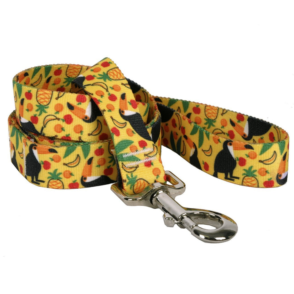 [Australia] - Yellow Dog Design Fruity Tucan Dog Leash 1" x 60" (5 feet) Long 