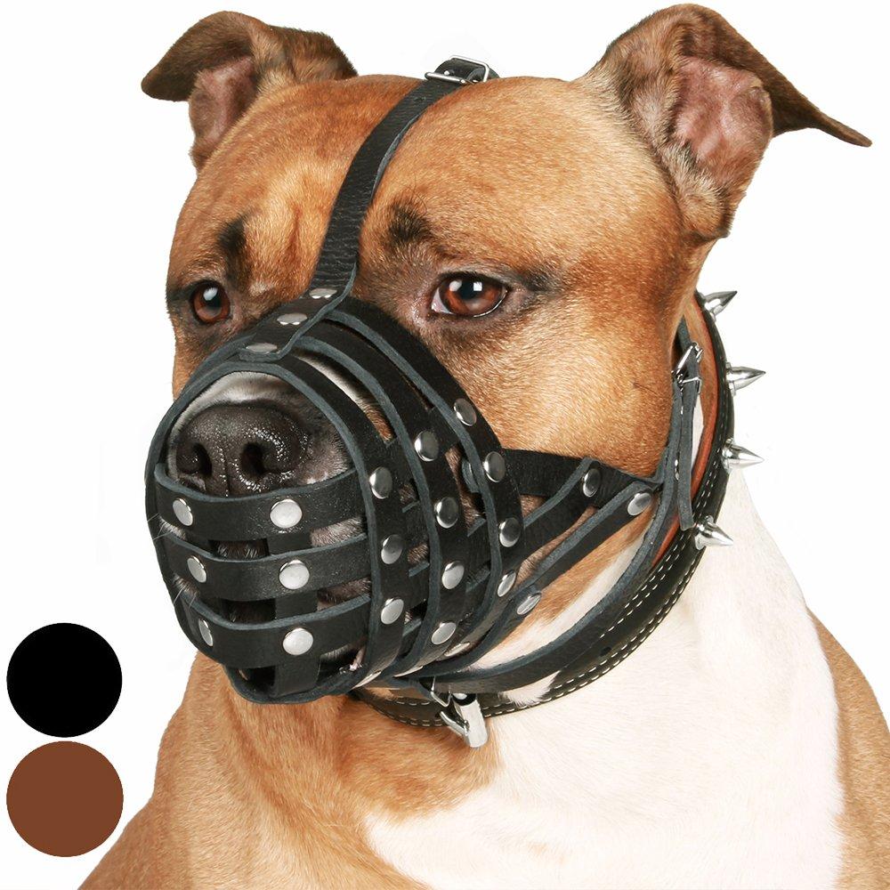 Leather dog clearance muzzle australia