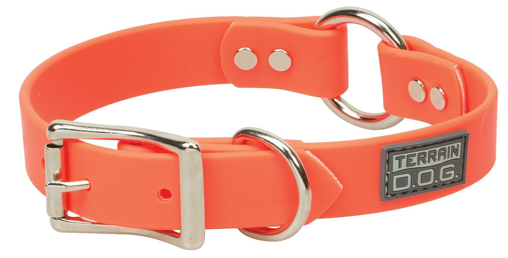 [Australia] - Terrain D.O.G. Brahma Webb Hunting Dog Collar 1" x 21" Blaze Orange 