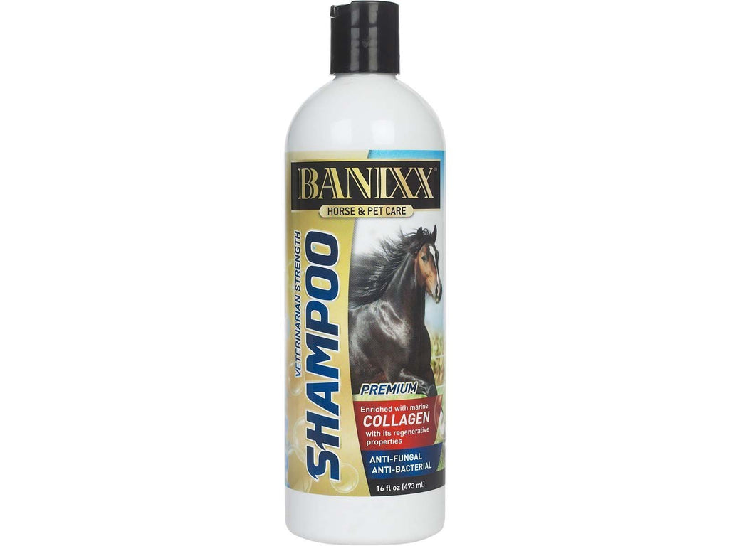 [Australia] - Banixx Medicated Anti-Fungal, Anti-Bacterial Shampoo 